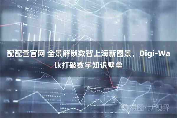配配查官网 全景解锁数智上海新图景，Digi-Walk打破数字知识壁垒