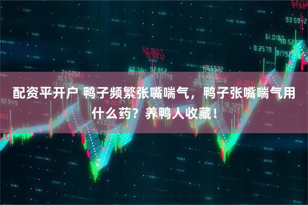 配资平开户 鸭子频繁张嘴喘气，鸭子张嘴喘气用什么药？养鸭人收藏！